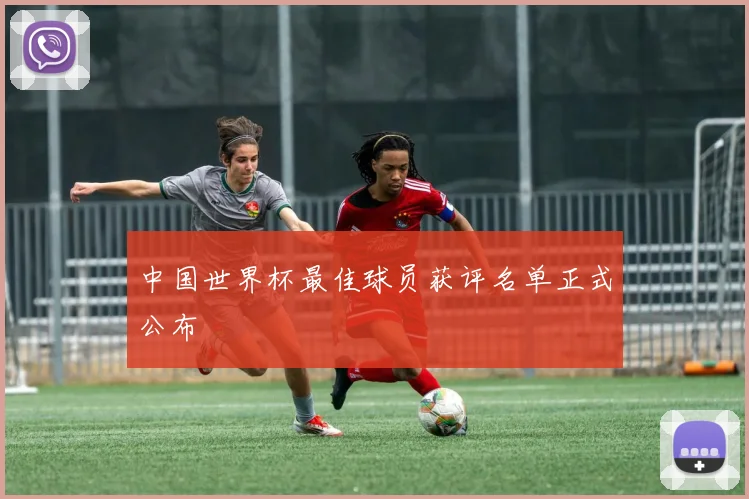中国世界杯最佳球员获评名单正式公布